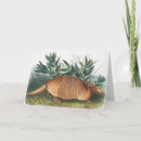 Search for armadillo cards Wildlife