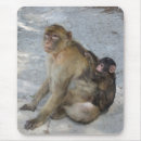 Search for monkeys mousepads Wildlife