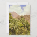 Search for palm tree stamp cards Oasis