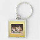 Search for display key rings I can has cheezburger