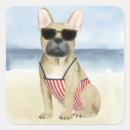 Search for dog in sunglasses stickers Pet