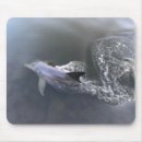 Search for dolphin mousepads Waves
