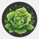 Search for lettuce stickers Vegetable