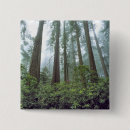 Search for redwoods badges Green