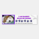 Search for basset bumper stickers Breed