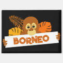 Search for borneo magnets Cute
