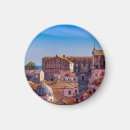 Search for roof magnets Castle