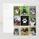 Search for collage pet memorials Loss