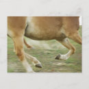 Search for blurred postcards Strength