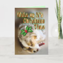 Search for australian cattle dog christmas cards Dogs