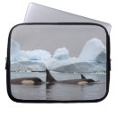 Search for pod cases Whale