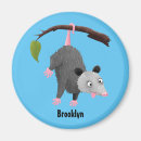 Search for opossum magnets Marsupial