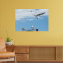 Search for seagull flying posters Birds
