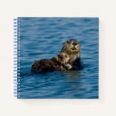 Search for otter notebooks Nature