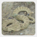 Search for rattlesnake stickers Rattler