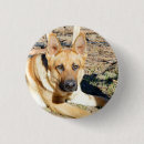 Search for german shepherd badges Alsatian