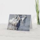 Search for west photography Pictures of horses