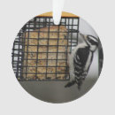 Search for woodpecker christmas tree decorations Birds