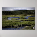 Search for stream art Photography