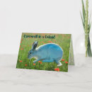 Search for compass pet supplies Sympathy