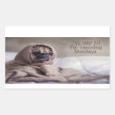 Search for funny dog stickers Pets