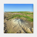 Search for helen magnets Mount saint helens