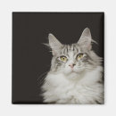 Search for whiskers magnets Animal head