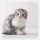 Search for cute camera stickers Colour image