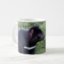 Search for tasmanian devils mugs Australia