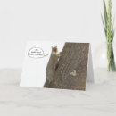 Search for squirrel hello cards Funny