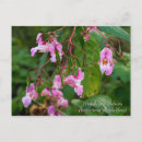 Search for flora postcards Wildflowers