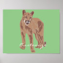 Search for lion posters Cougar