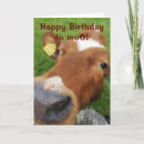 Search for to moo birthday cards Calf