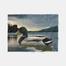 Search for duck blankets Mallard