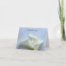 Search for white calla lily cards Beautiful