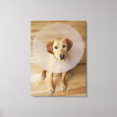 Search for care canvas prints Indoors