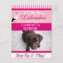 Search for funny cats and dogs postcards Pet