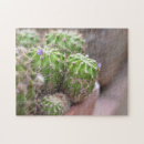 Search for flower puzzles Nature