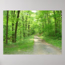 Search for nature walk posters Green