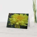 Search for mom get well cards Flower