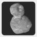 Search for kuiper belt stickers Space