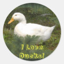 Search for love ducks stickers Cute