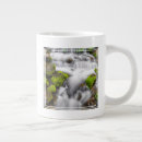 Search for sierra mugs National park