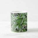 Search for hosta mugs Nature