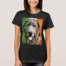 Search for bragh tshirts Irish