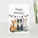 Search for funny cat cards Cats