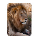 Search for african nations magnets Animal