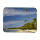 Search for plantation magnets Coast