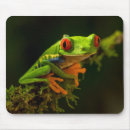 Search for tree frog mousepads Wild