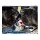 Search for two image template photography Puppy